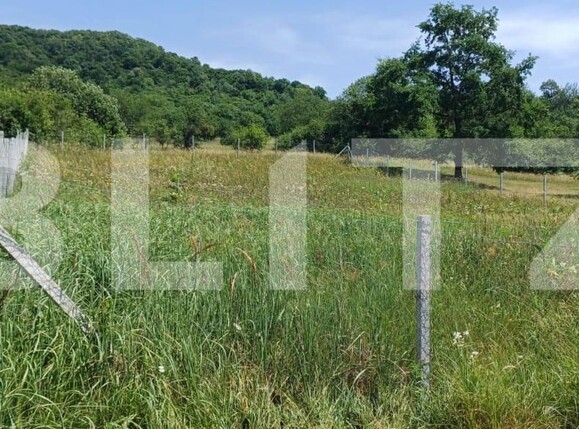 Teren de vânzare Nord-Est - 181679TV | BLITZ Bistriţa | Poza7