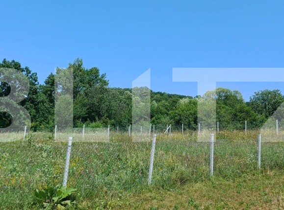 Teren de vânzare Nord-Est - 181679TV | BLITZ Bistriţa | Poza5