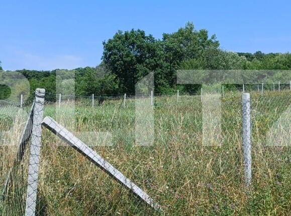 Teren de vânzare Nord-Est - 181679TV | BLITZ Bistriţa | Poza6