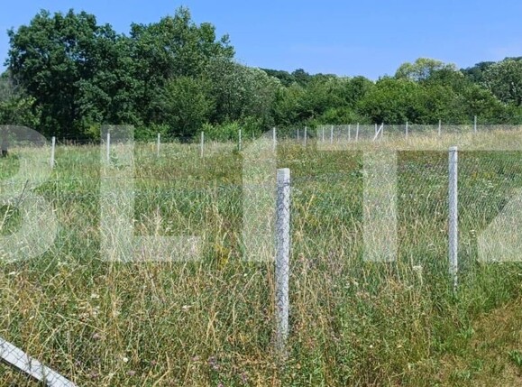 Teren de vânzare Nord-Est - 181679TV | BLITZ Bistriţa | Poza1