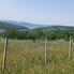 Teren de vânzare Nord-Est - 181679TV - Poza 1 din 8 | BLITZ Bistriţa | Poza7