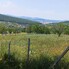 Teren de vânzare Nord-Est - 181679TV - Poza 1 din 8 | BLITZ Bistriţa | Poza1
