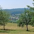 Teren de vânzare Nord-Est - 181679TV - Poza 1 din 8 | BLITZ Bistriţa | Poza2