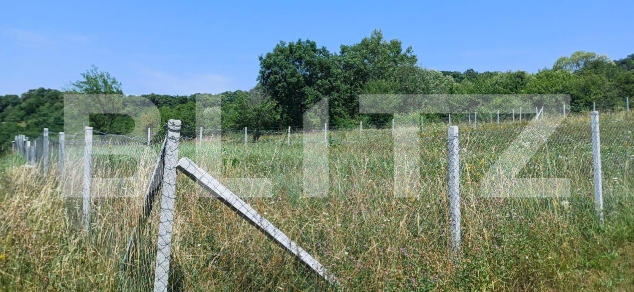 Teren de vânzare Nord-Est - 181679TV | BLITZ Bistriţa | Poza6