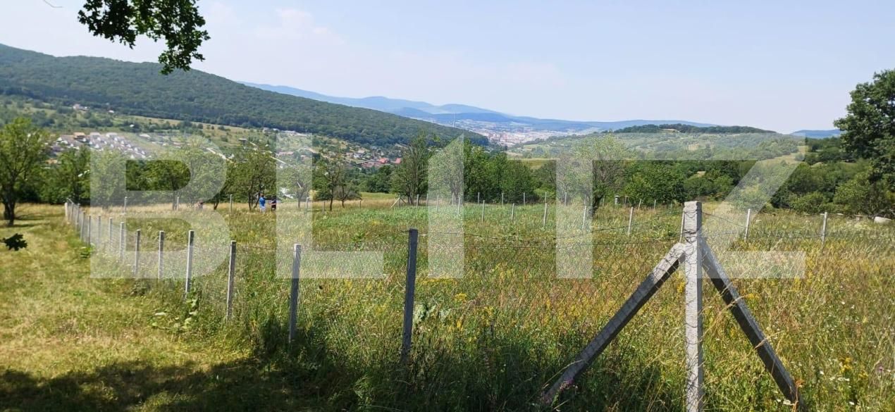 Teren de vânzare Nord-Est - 181679TV | BLITZ Bistriţa | Poza2