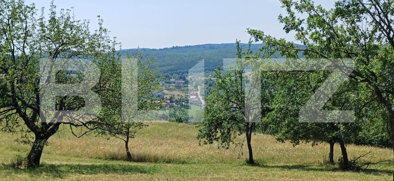 Teren de vânzare Nord-Est - 181679TV | BLITZ Bistriţa | Poza3