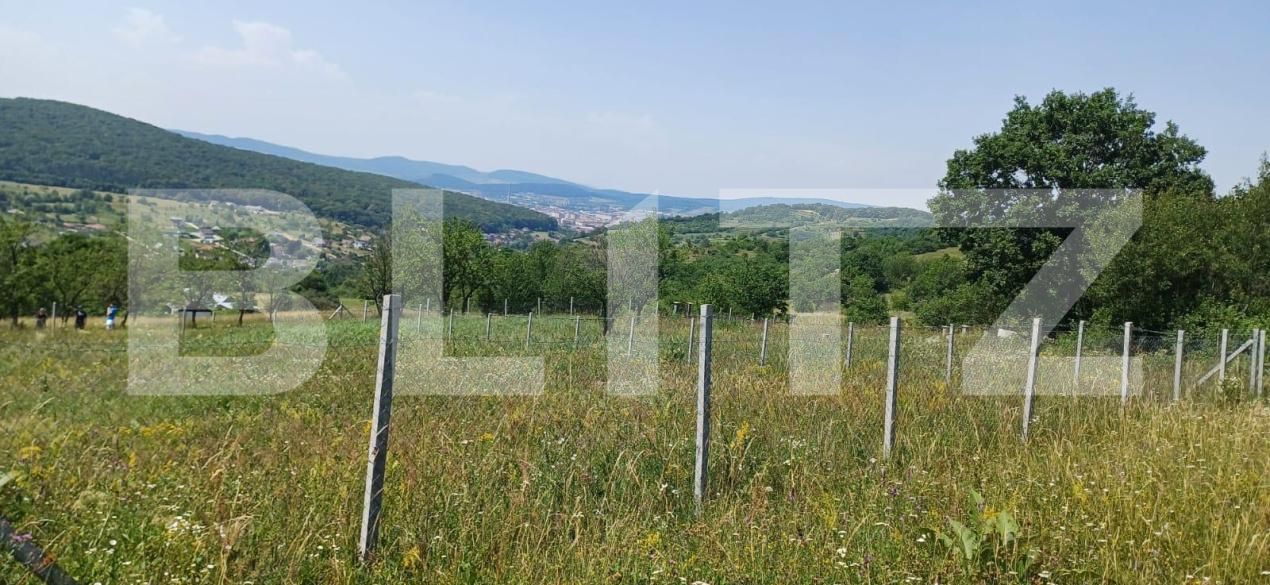 Teren de vânzare Nord-Est - 181679TV | BLITZ Bistriţa | Poza8