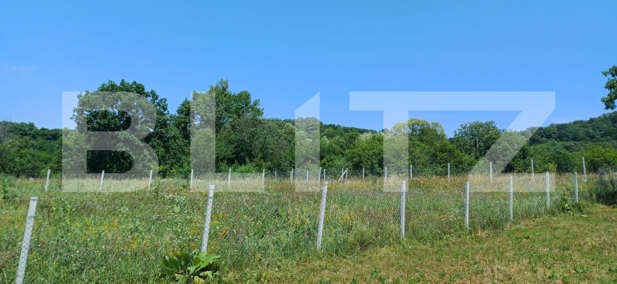 Teren de vânzare Nord-Est - 181679TV | BLITZ Bistriţa | Poza5