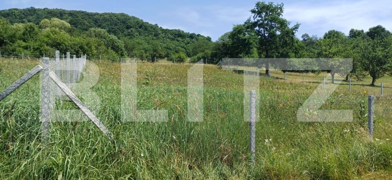 Teren de vânzare Nord-Est - 181679TV | BLITZ Bistriţa | Poza7