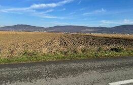 Vand 53 de ari de teren intravilan in Arcalia