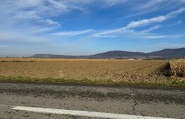 Vand 53 de ari de teren intravilan in Arcalia