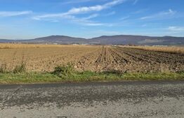 Vand 53 de ari de teren intravilan in Arcalia