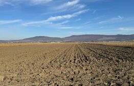 Vand 53 de ari de teren intravilan in Arcalia