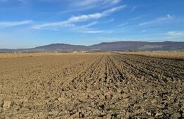 Vand 53 de ari de teren intravilan in Arcalia