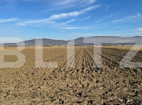 Teren de vânzare Arcalia - 181871TV | BLITZ Bistriţa | Poza6