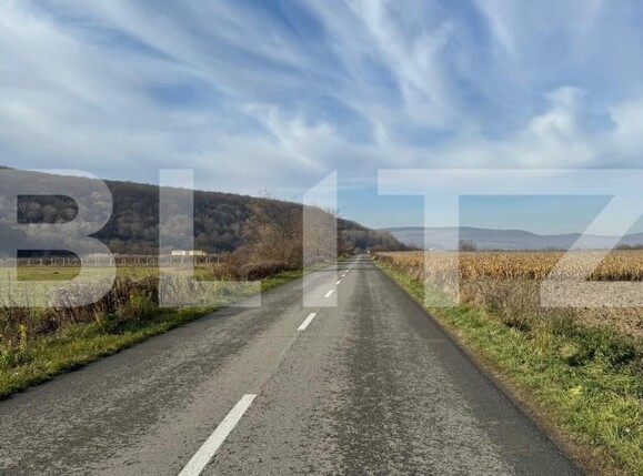 Teren de vânzare Arcalia - 181871TV | BLITZ Bistriţa | Poza1