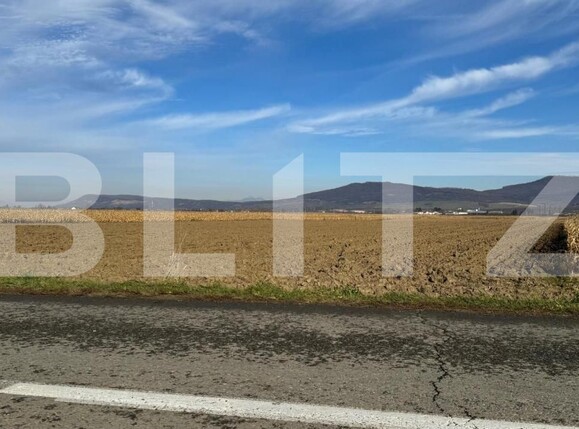 Teren de vânzare Arcalia - 181871TV | BLITZ Bistriţa | Poza5