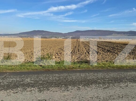 Teren de vânzare Arcalia - 181871TV | BLITZ Bistriţa | Poza7