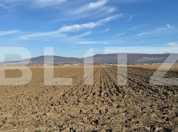 Teren de vânzare Arcalia - 181871TV | BLITZ Bistriţa | Poza2