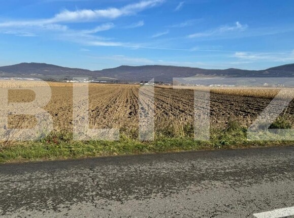 Teren de vânzare Arcalia - 181871TV | BLITZ Bistriţa | Poza4