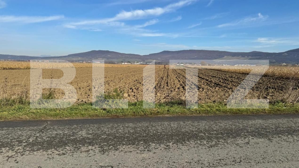 Teren de vânzare Arcalia - 181871TV | BLITZ Bistriţa | Poza7