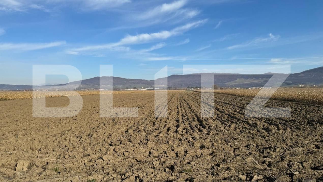 Teren de vânzare Arcalia - 181871TV | BLITZ Bistriţa | Poza2