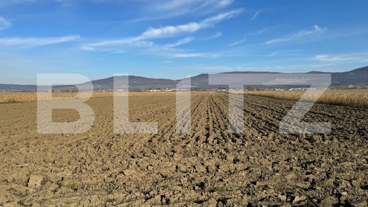 Teren de vânzare Arcalia - 181871TV | BLITZ Bistriţa | Poza6