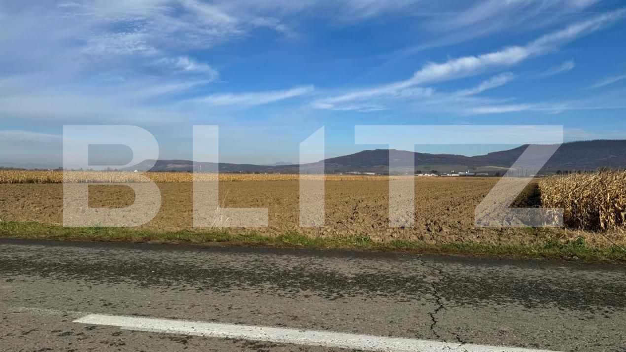 Teren de vânzare Arcalia - 181871TV | BLITZ Bistriţa | Poza5