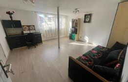 Casa individuala, zona Centrala, 10 ari teren, Prundu Bargaului