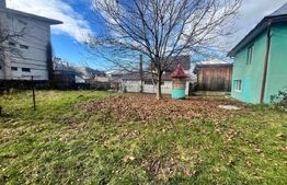 Casa individuala, zona Centrala, 10 ari teren, Prundu Bargaului