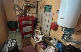 Casa individuala, zona Centrala, 10 ari teren, Prundu Bargaului