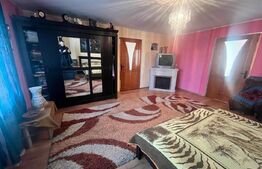 Casa individuala, zona Centrala, 10 ari teren, Prundu Bargaului