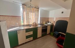 Casa individuala, zona Centrala, 10 ari teren, Prundu Bargaului