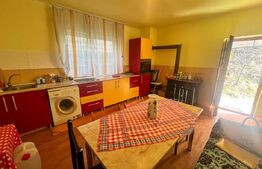 Casa individuala, zona Centrala, 10 ari teren, Prundu Bargaului