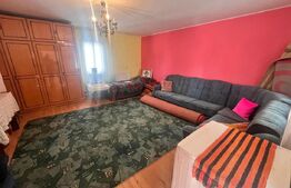 Casa individuala, zona Centrala, 10 ari teren, Prundu Bargaului