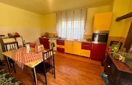 Casa individuala, zona Centrala, 10 ari teren, Prundu Bargaului