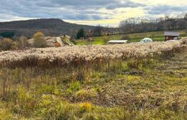 Teren extravilan de vanzare, 2400 mp, zona Valea Ghinzii