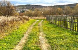 Teren extravilan de vanzare, 2400 mp, zona Valea Ghinzii