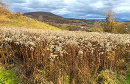 Teren extravilan de vanzare, 2400 mp, zona Valea Ghinzii