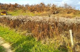 Teren extravilan de vanzare, 2400 mp, zona Valea Ghinzii
