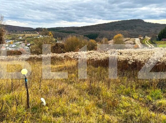 Teren de vânzare Nord - 182112TV | BLITZ Bistriţa | Poza5