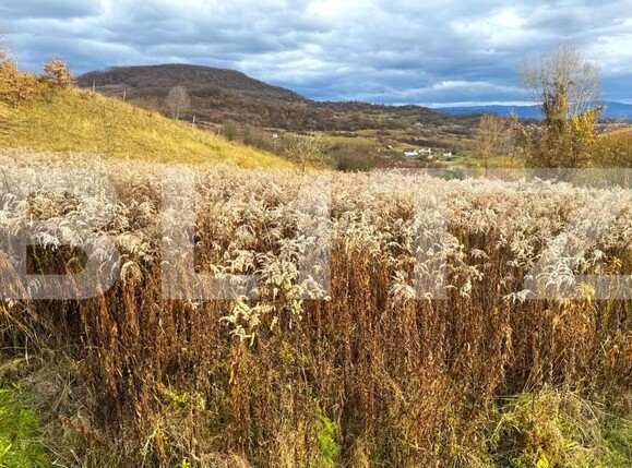 Teren de vânzare Nord - 182112TV | BLITZ Bistriţa | Poza4