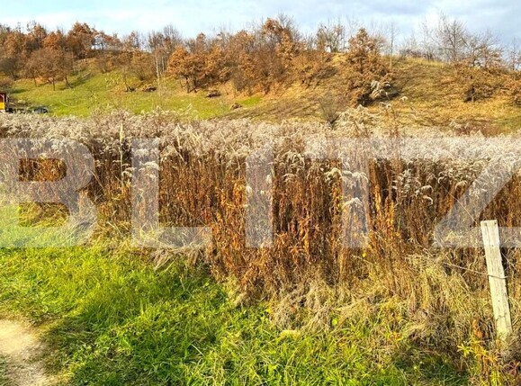 Teren de vânzare Nord - 182112TV | BLITZ Bistriţa | Poza1