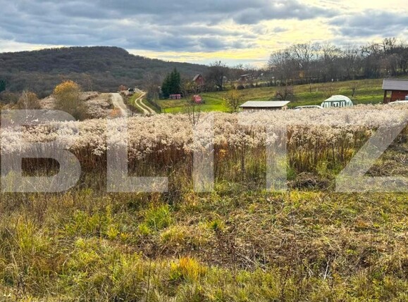 Teren de vânzare Nord - 182112TV | BLITZ Bistriţa | Poza3