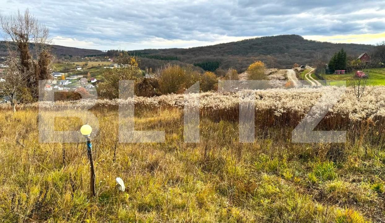 Teren de vânzare Nord - 182112TV | BLITZ Bistriţa | Poza5