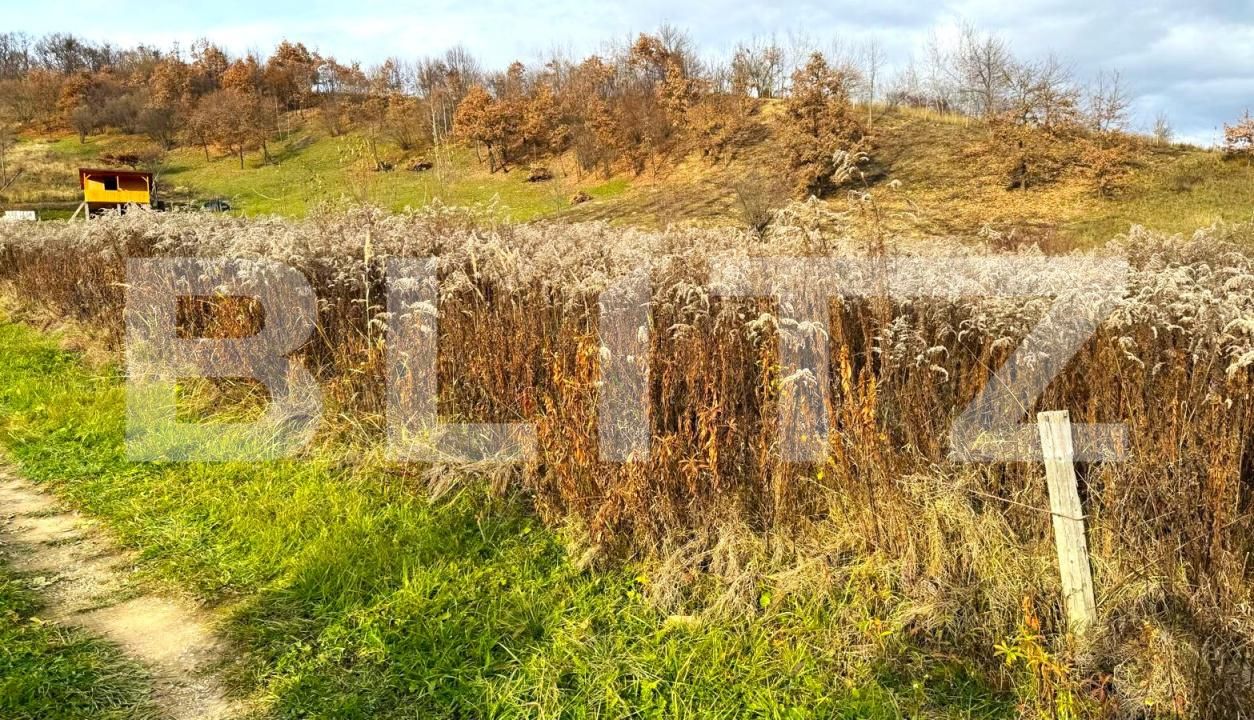 Teren de vânzare Nord - 182112TV | BLITZ Bistriţa | Poza1