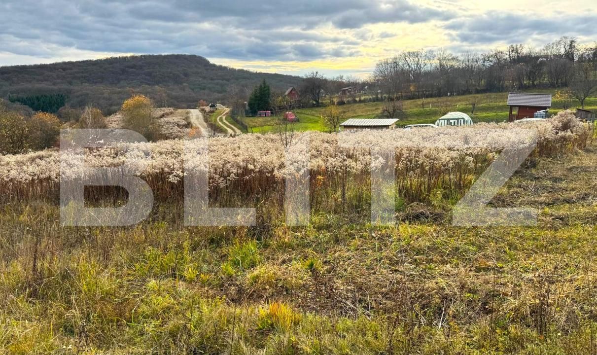 Teren de vânzare Nord - 182112TV | BLITZ Bistriţa | Poza3