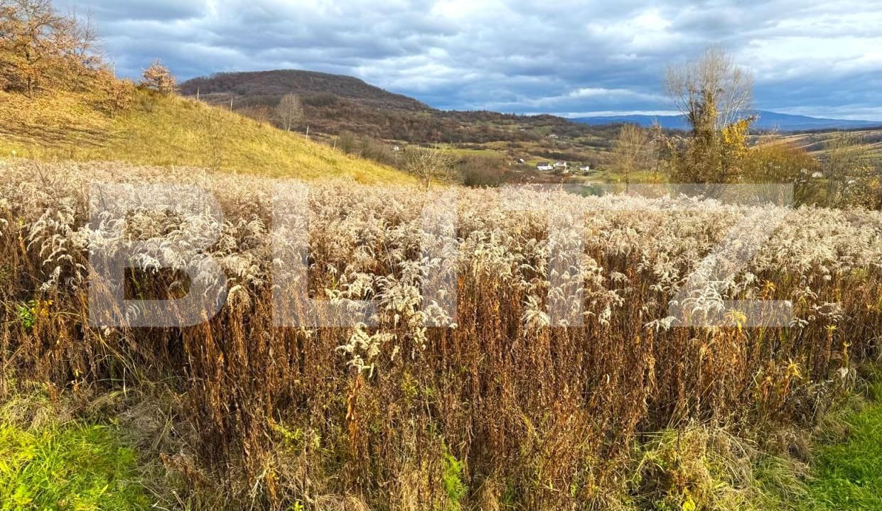 Teren de vânzare Nord - 182112TV | BLITZ Bistriţa | Poza4