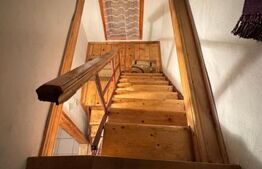 VAND CASA DE VACANTA LA COLIBITA, CU VEDERE SPRE LAC