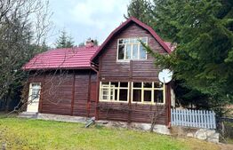 VAND CASA DE VACANTA LA COLIBITA, CU VEDERE SPRE LAC